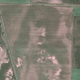 Illustration for article titled Aerial Photographs Reveal Mysterious Faces Etched into the Landscape